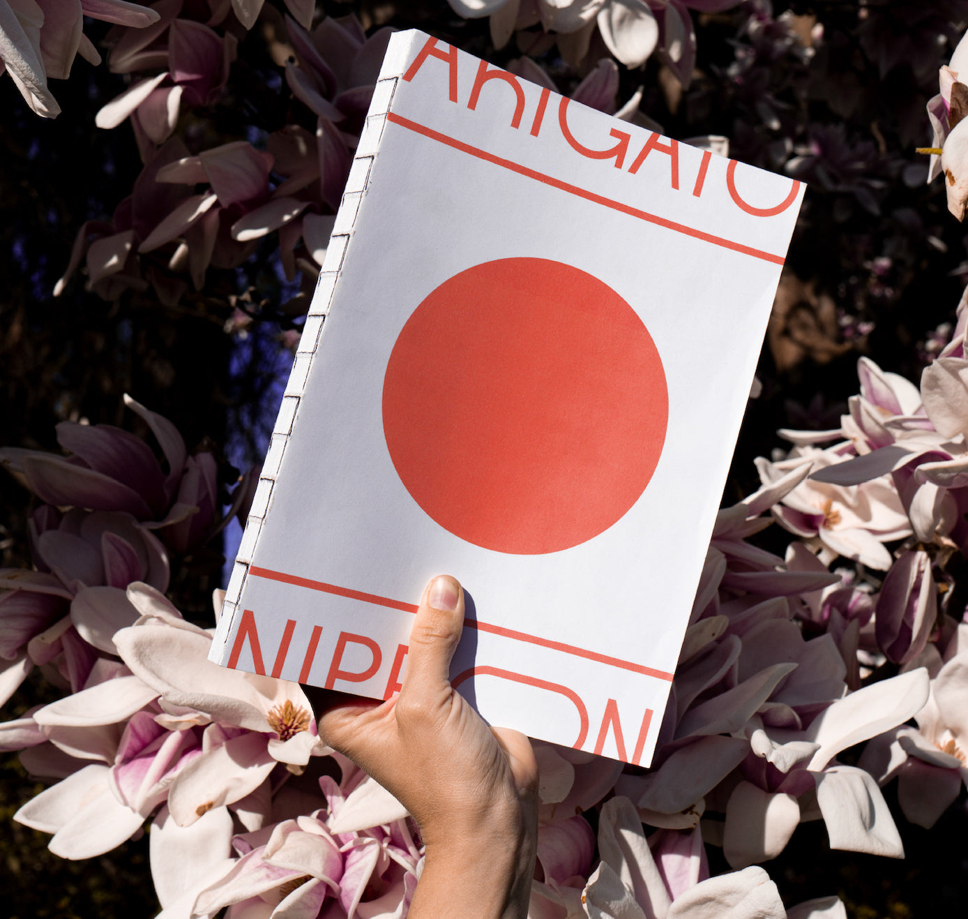 23. Mai 2024 - Book Launch „ARIGATO NIPPON日本“ von SAFU