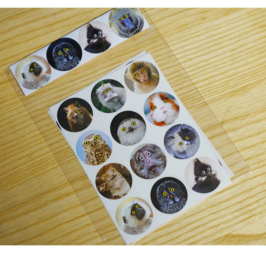 Anna-Lisa Schneeberger - Stickerbogen "Cuties & Beauties"