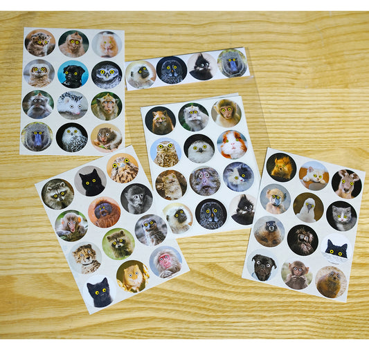 Anna-Lisa Schneeberger - Stickerbogen "Cuties & Beauties"