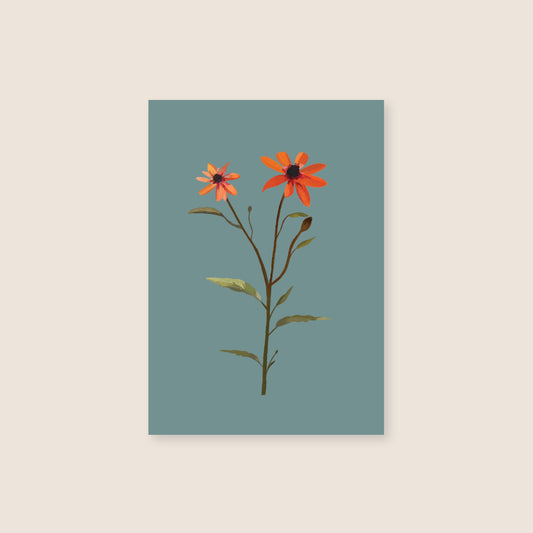 Hartezeiten - Postkarte "Blume Orange"