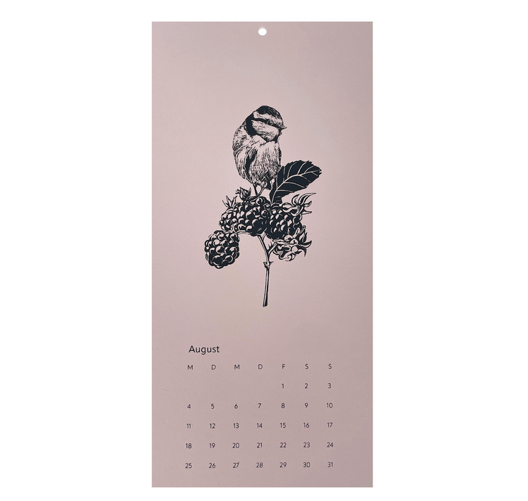 Studio Null - Wandkalender 2025