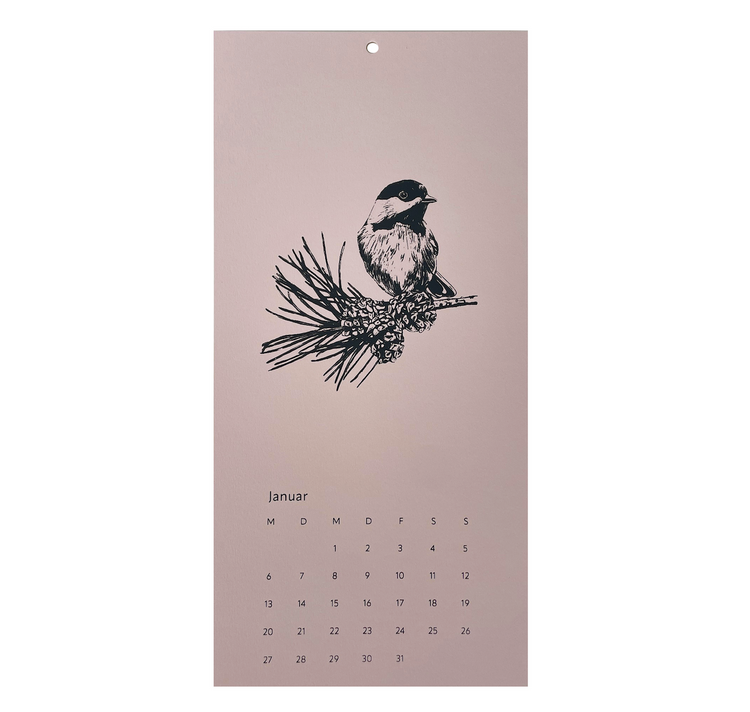 Studio Null - Wandkalender 2025