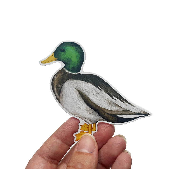 Jolanda Epprecht - Grosser Sticker "Ente"