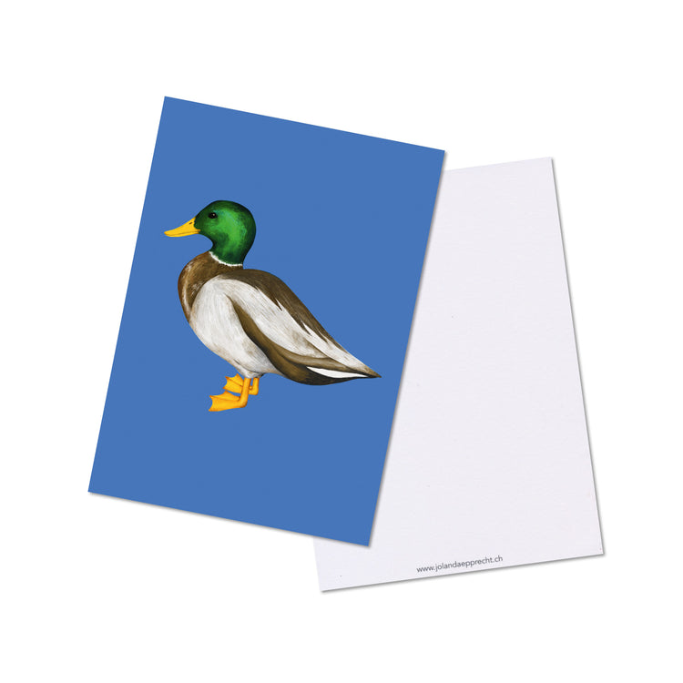 Jolanda Epprecht - Postkartenset „Möwe & Ente“