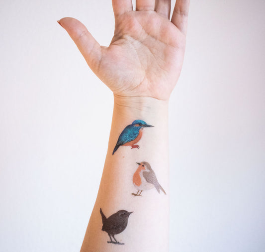 Jolanda Epprecht - Temporäre Tattoos Vögel